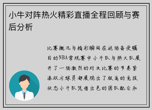 小牛对阵热火精彩直播全程回顾与赛后分析